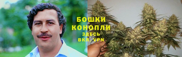 Альфа ПВП Няндома