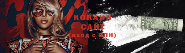 Альфа ПВП Няндома