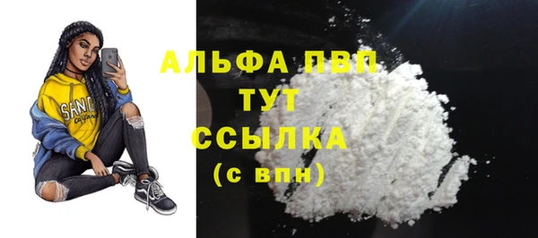 spice Кемь